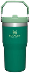 Stanley IceFlow Stainless Steel Tumbler - Vacuum Insulated Water Bottle for Home, Office or Car Reusable Cup with Straw Leak Resistant Flip Cold for 12 Hours or Iced for 2 Days, Alpine, 20OZ